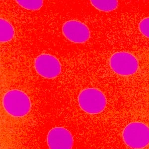 SAS Swim Secret Convertible Push-Up Bikini Top | Bright Polka Dot Print Swimwear 6 SAS Swim Secret Convertible Push-Up Bikini Top | Bright Polka Dot Print Swimwear