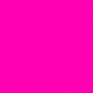 SAS Swim Secret Push-Up Halter Bikini Top | Fuchsia Sizzle 3 SAS Swim Secret Push-Up Halter Bikini Top | Fuchsia Sizzle