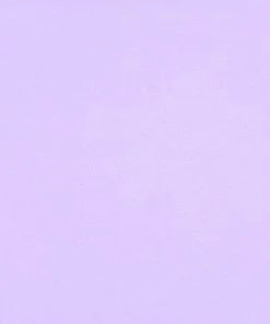 SAS Long Lined Bikini Top | Lilac Iris Plus Size Bikini Tops