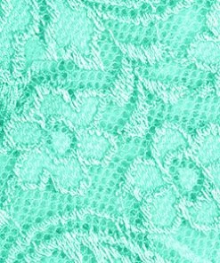 SAS Bras Signature Lace Push-Up Bra | Mint Chip