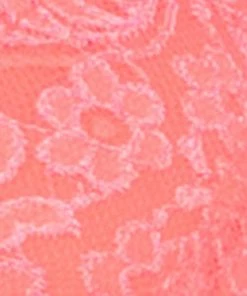 SAS Signature Lace Push-Up Bra | Punchy Peach Bras