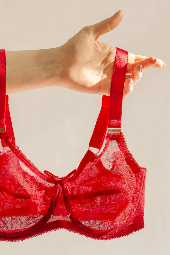 SAS Bras Plus Size Retro Lace & Mesh Unlined Underwire Bra | No No Red Lace 7 SAS Bras Plus Size Retro Lace & Mesh Unlined Underwire Bra | No No Red Lace