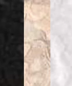 SAS Panties My Favorite Lace Thong Panty 5 Pack | Black/Black/White/Buff/Buff